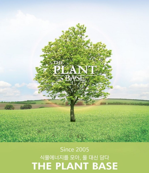 the plant base